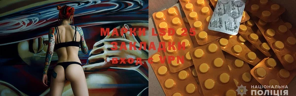 стафф Баксан